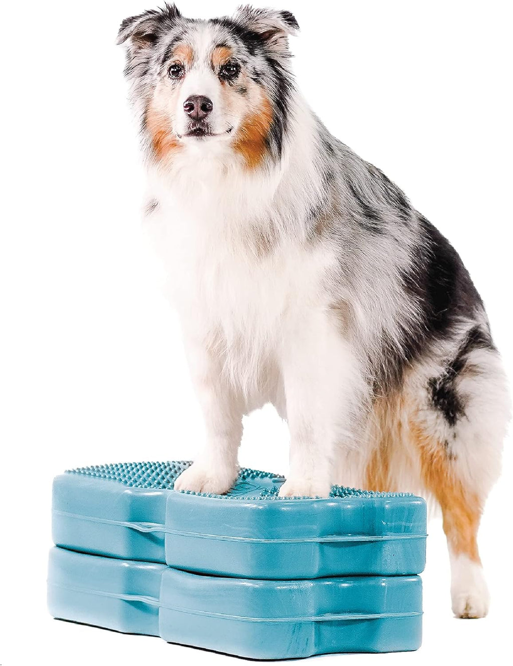 Gray 2-Pack Canine Conditioning Equipment G1502