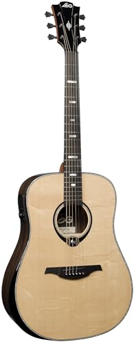50 Dreadnought Bevel Gloss Acoustic Guitar F635