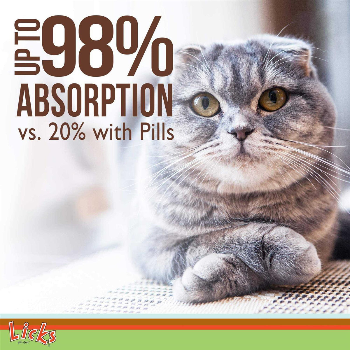 Senior Cat Joint Support & Digestion Supplement R3597