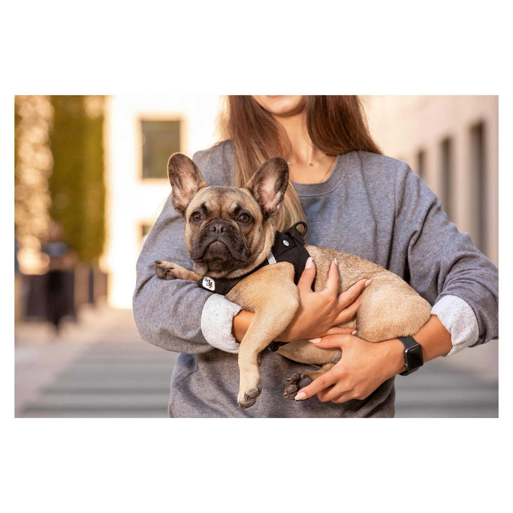 Air-Mesh Dog Harness S444