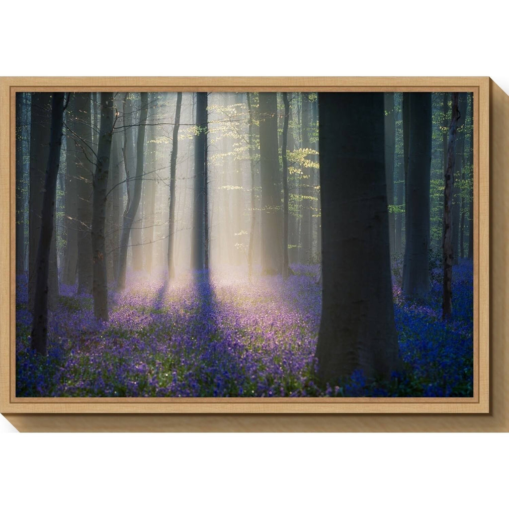 Framed Canvas Art C946