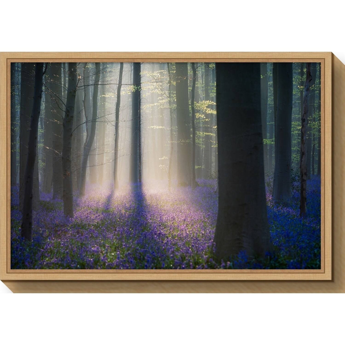 Framed Canvas Art C946