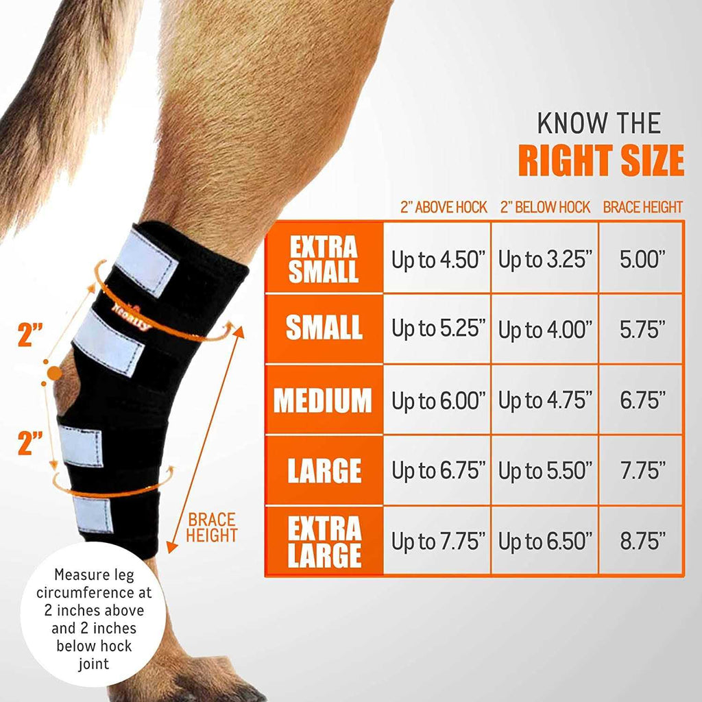 Dog Hind Leg Brace with Reflective Straps K807545