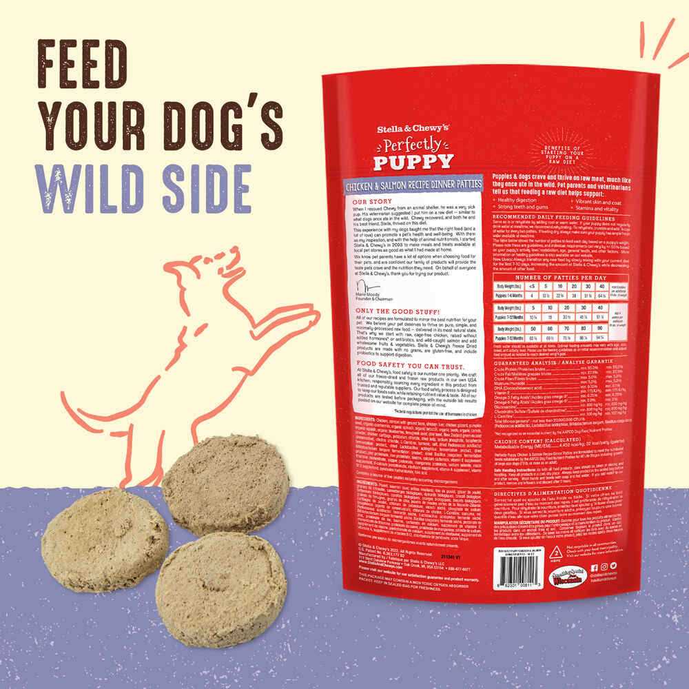 Freeze-Dried Raw Dog Food Salmon Patties M618