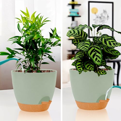 8/7/6.5/6/5.5/5 Inch White Self Watering Plastic Planters W463