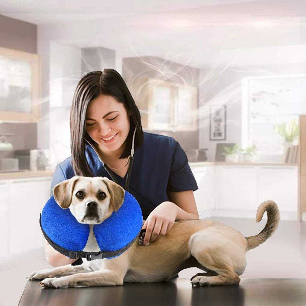 Protective Inflatable Cone Collar for Dogs and Cats E696