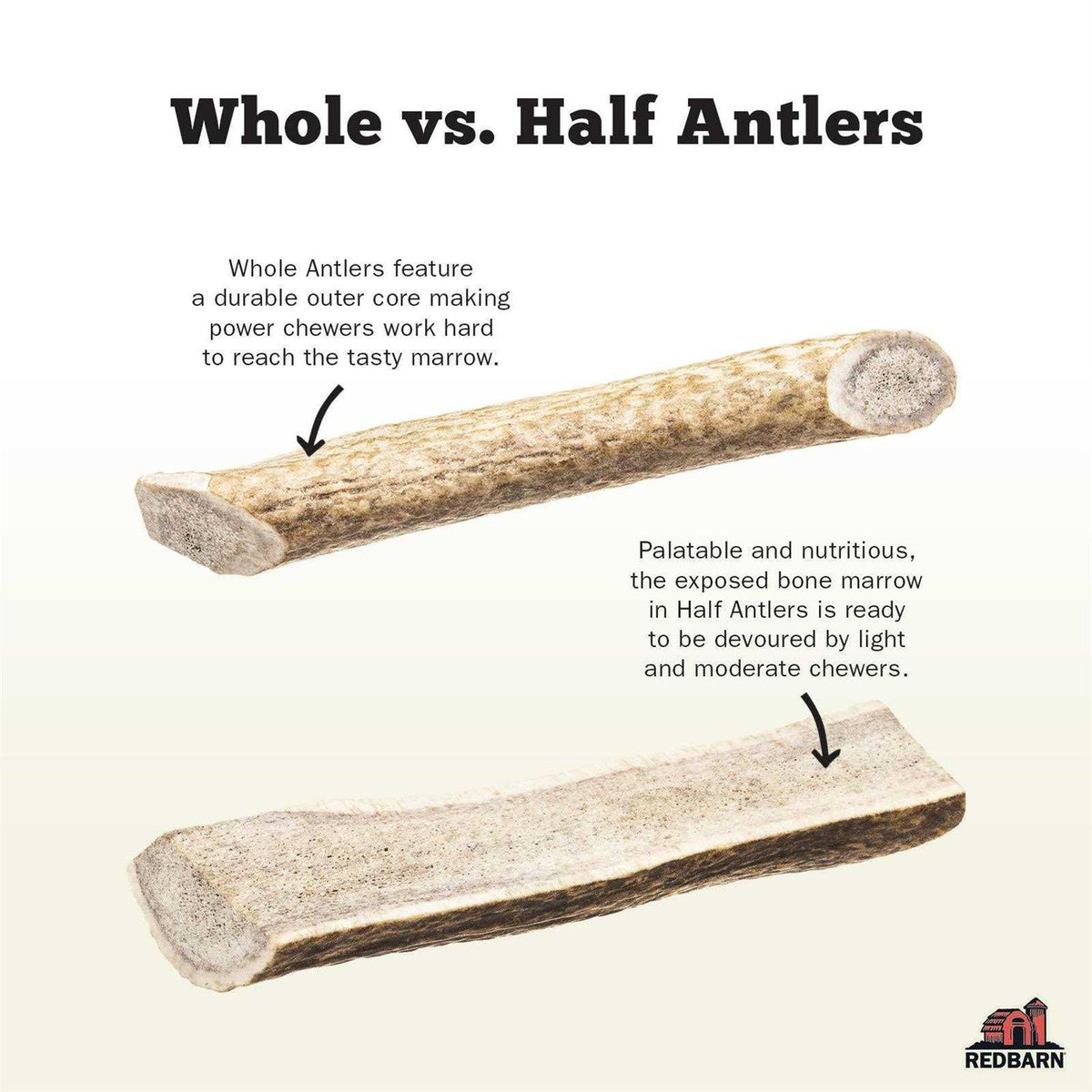 Deer Antler Z6353
