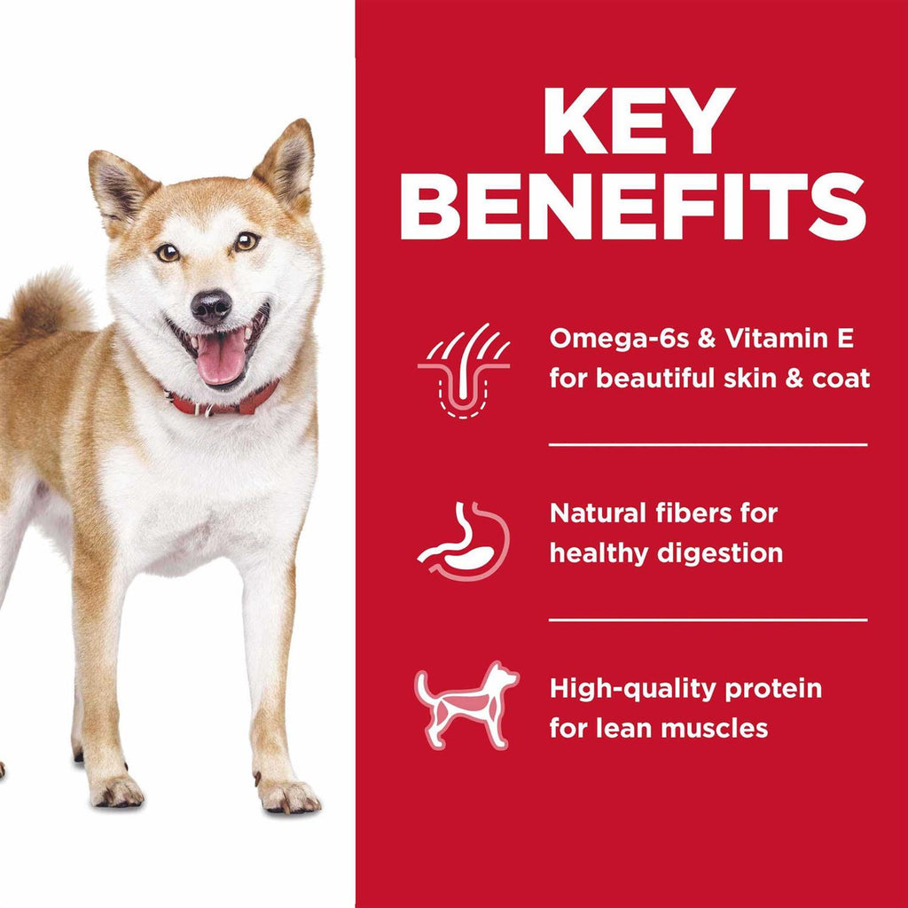 Chicken Dry Dog Food Y8597
