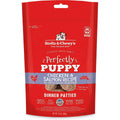 Freeze-Dried Raw Dog Food Salmon Patties M618