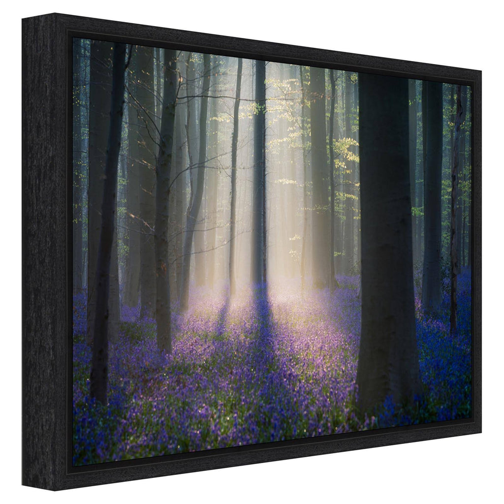 Framed Canvas Art C946