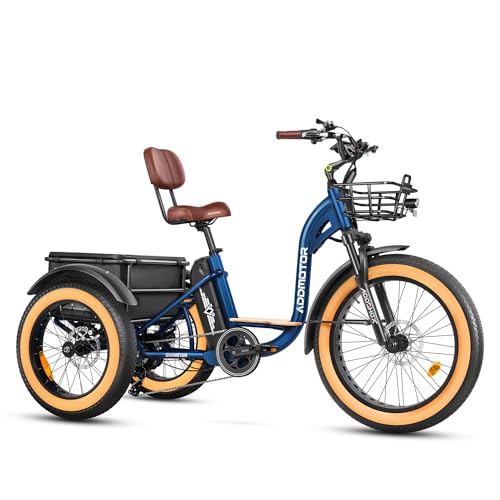 750W 48V 20Ah Battery Electric Tricycle O101741
