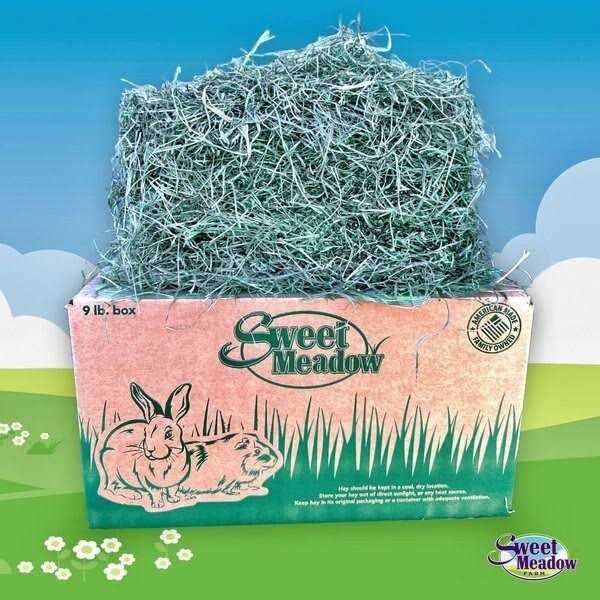 Timothy Hay Small Pet Food M4485