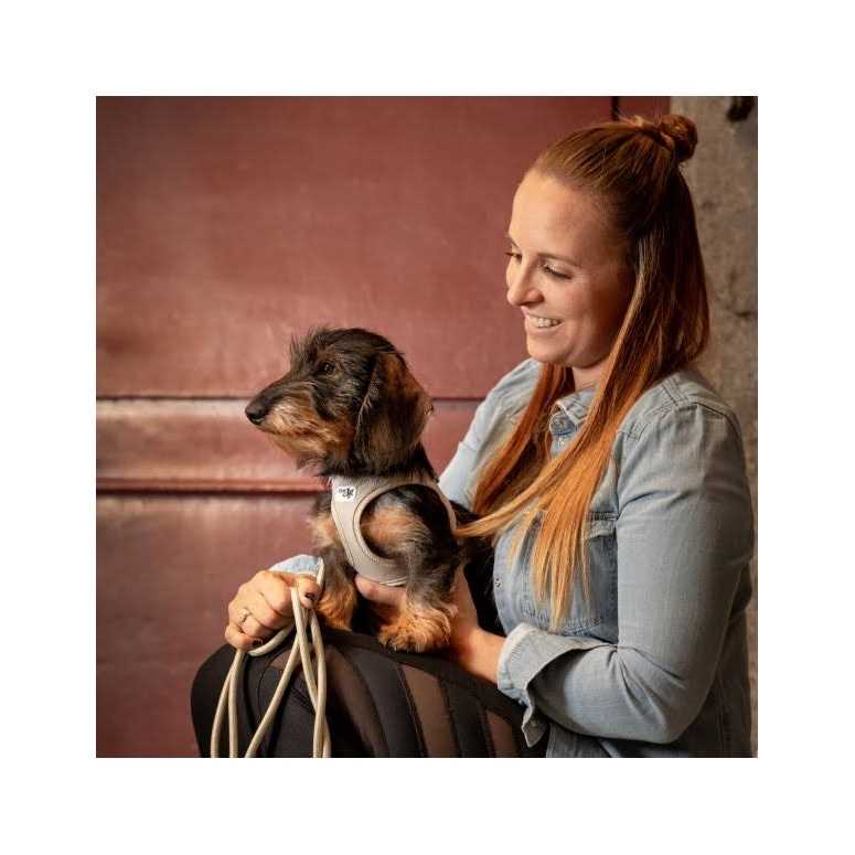 Air-Mesh Dog Harness S444