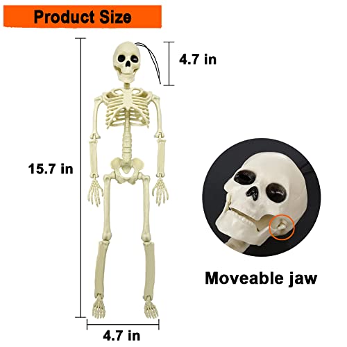 5.9FT Plastic Full Size Human Skeleton with Movable Joints S346146