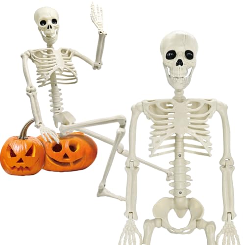 5.9FT Plastic Full Size Human Skeleton with Movable Joints S346146
