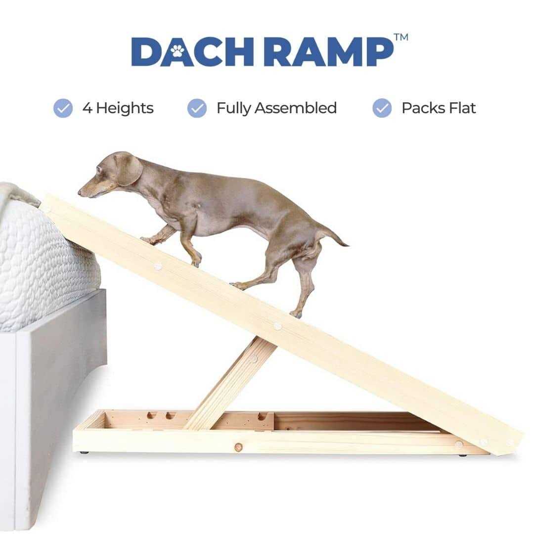Dachshund Ramp O8932