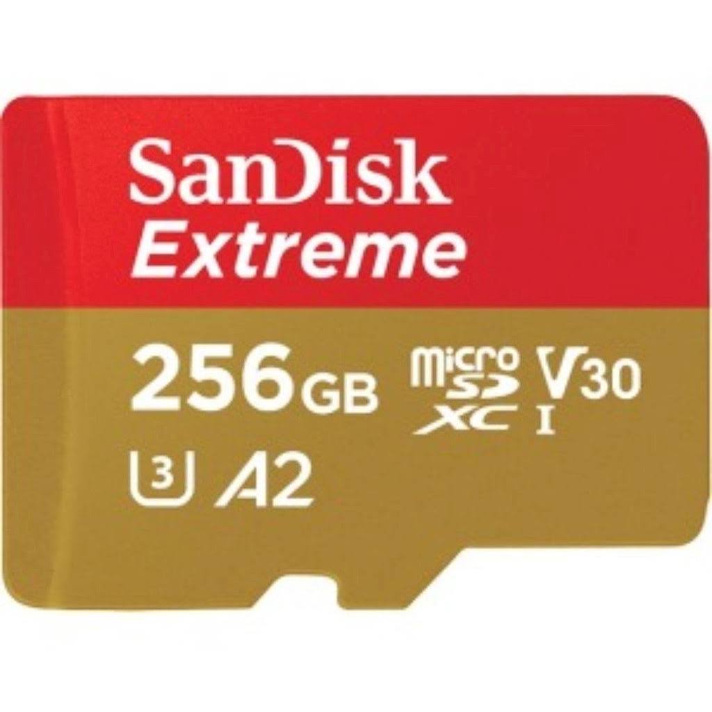 256gb microSD UHS-I Card R670