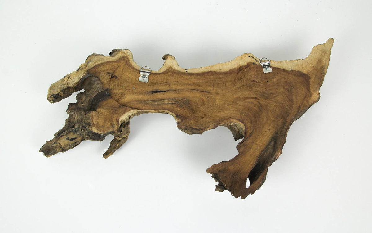 Carved Wood Whale Wall Hanging D90824
