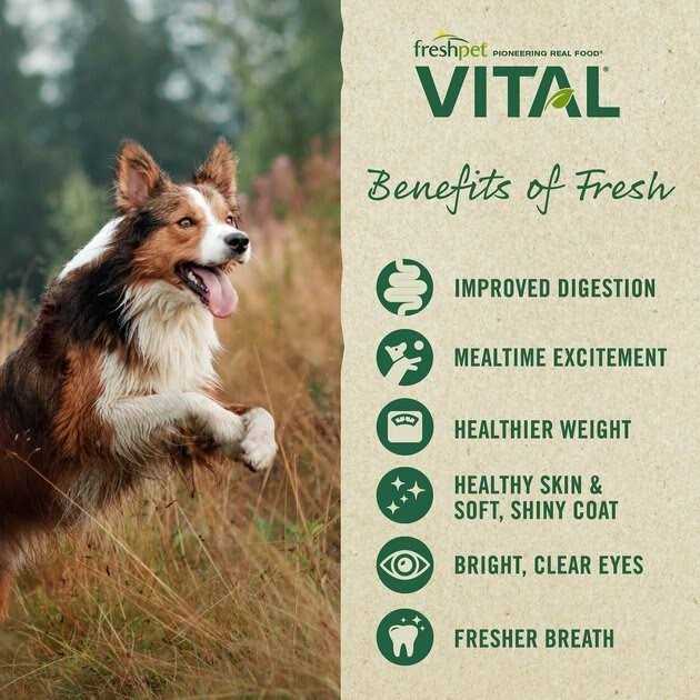 Grain-Free Chicken Small Breed Dog Food L8180