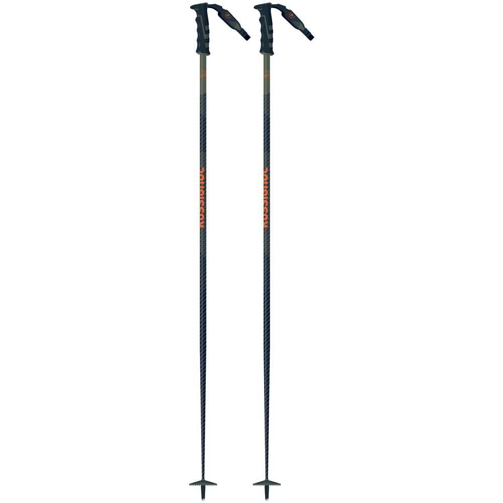 Ski Poles D450