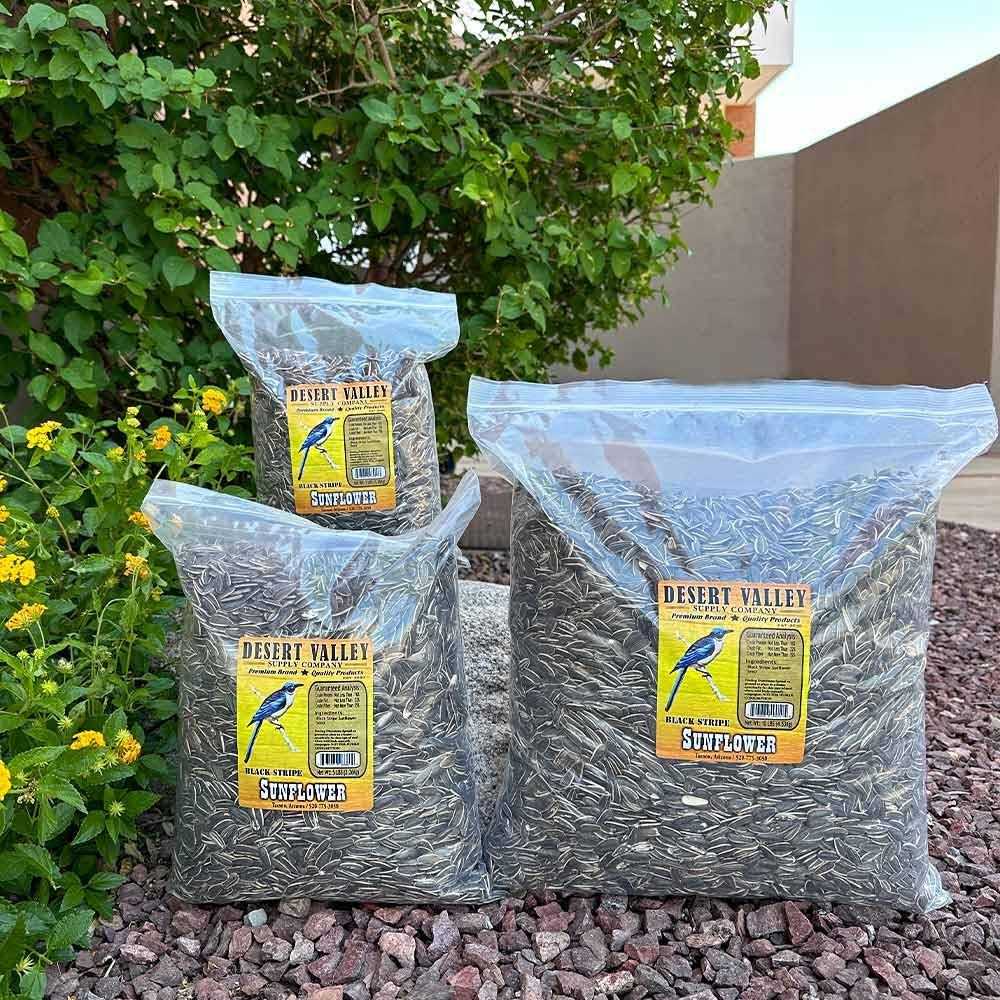 Striped Sunflower Seeds R992514