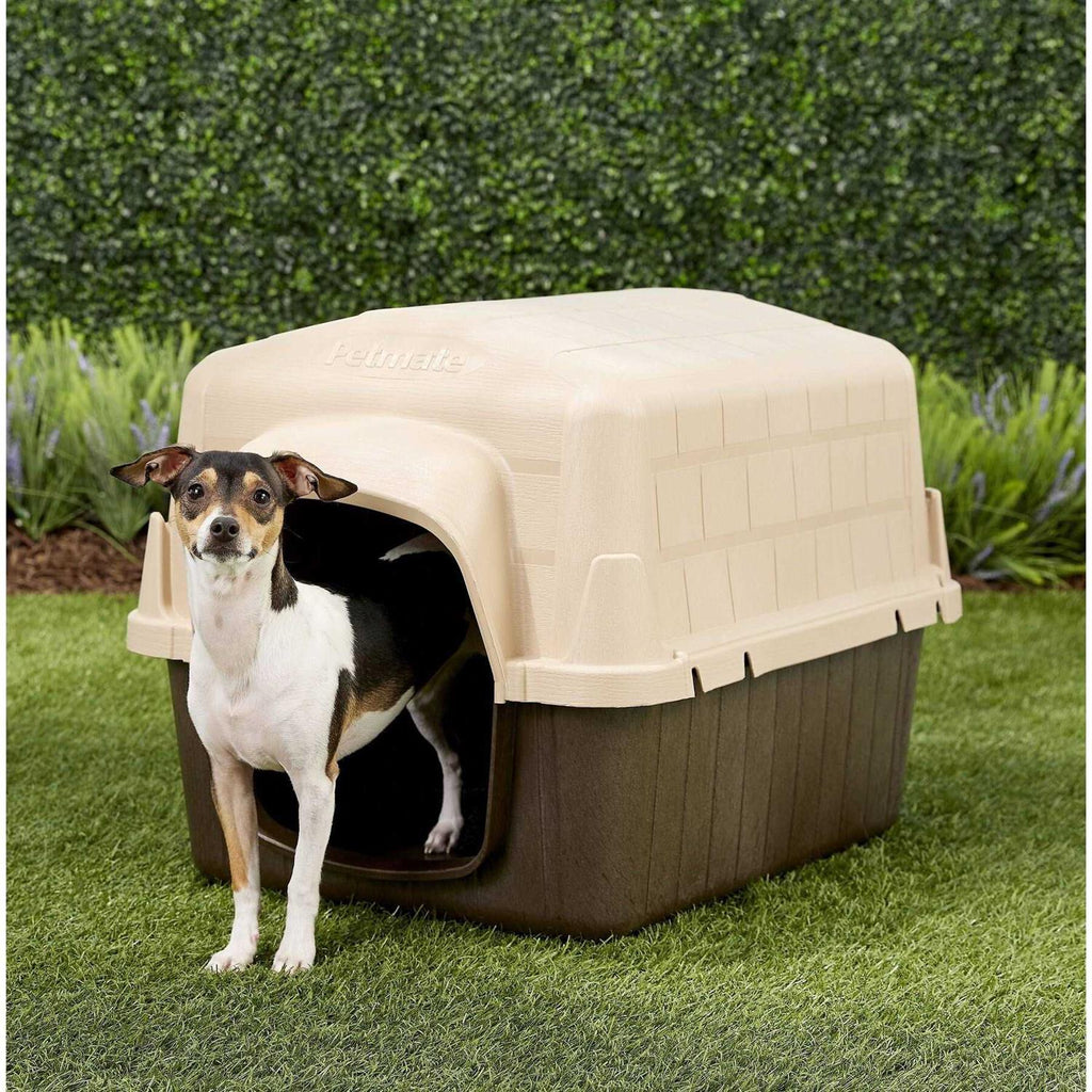 3 Dog House C1606