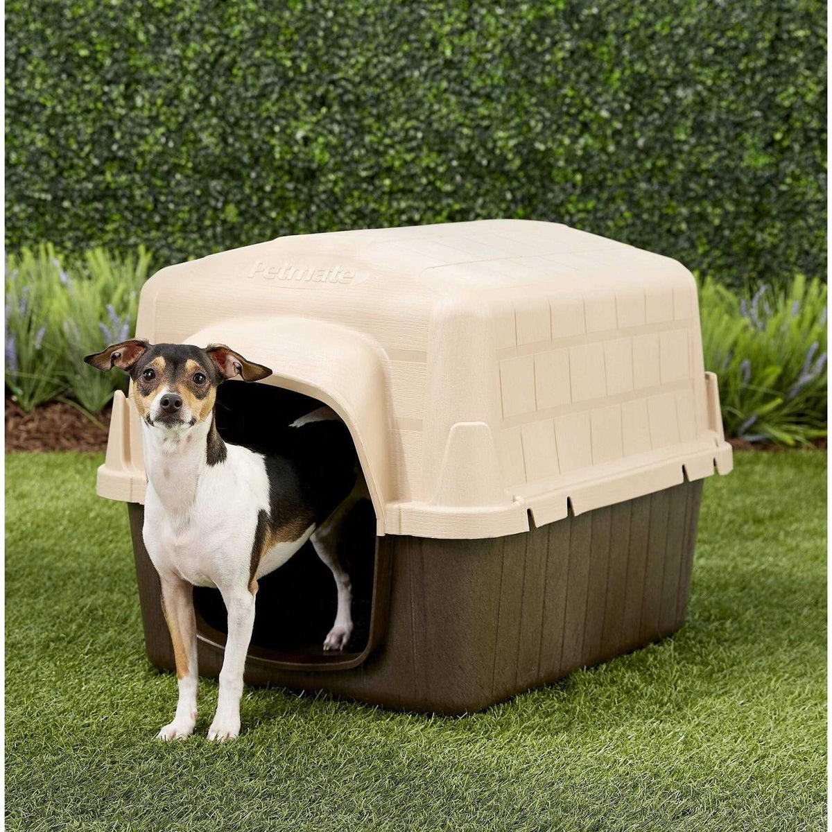 3 Dog House C1606
