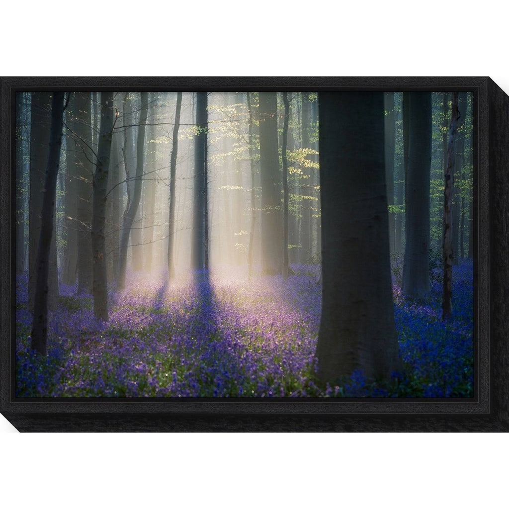 Framed Canvas Art C946