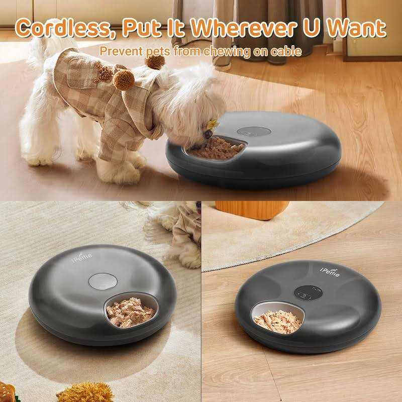 Automatic Pet Feeder Z33264