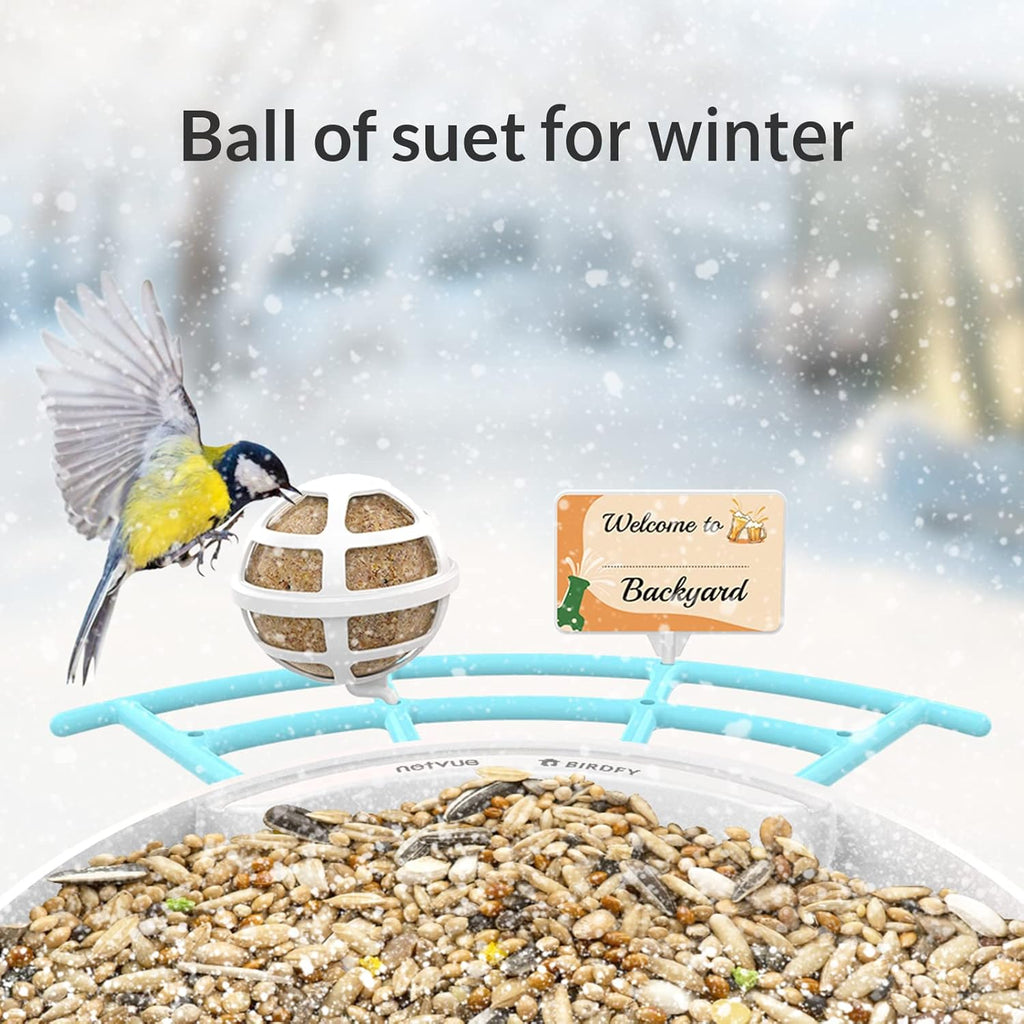 Bird Feeder with Camera N485138