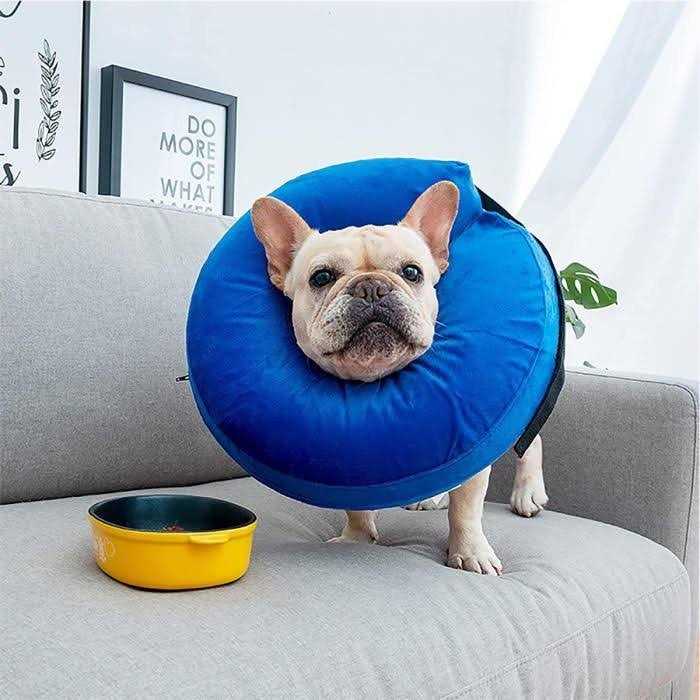 Protective Inflatable Cone Collar for Dogs and Cats E696