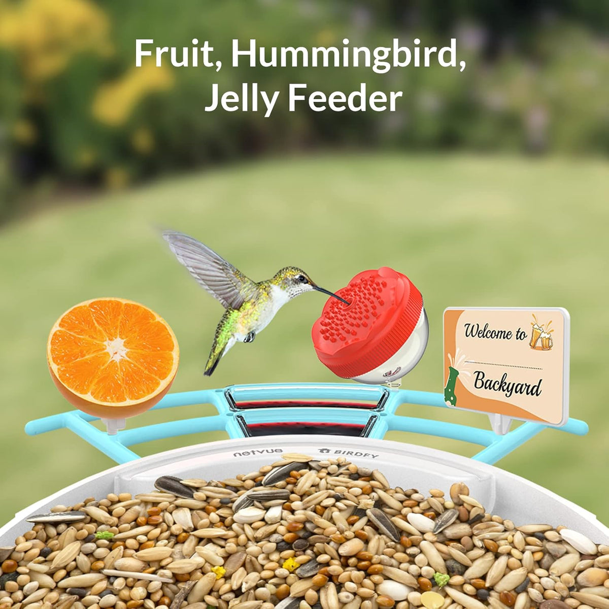 Bird Feeder with Camera N485138
