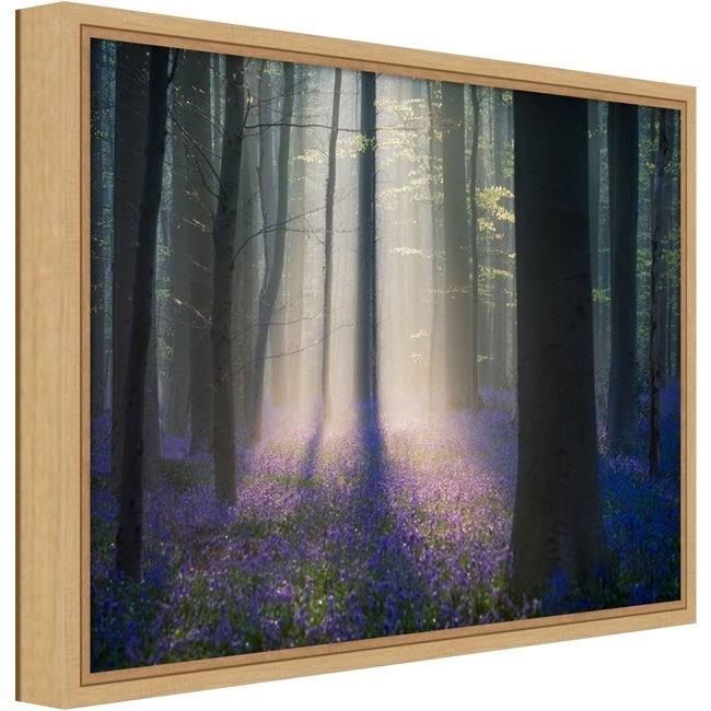 Framed Canvas Art C946