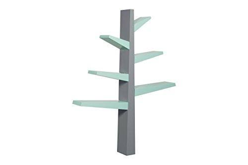 Green Bookcase P509873