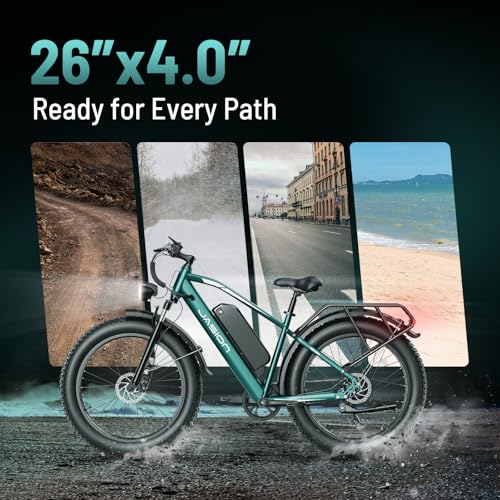 Electric Bike with 1500W Peak Motor, 48V 15Ah Battery, 26'' x 4'' Fat Tire U1809