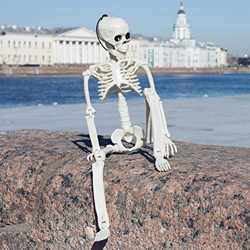 5.9FT Plastic Full Size Human Skeleton with Movable Joints S346146