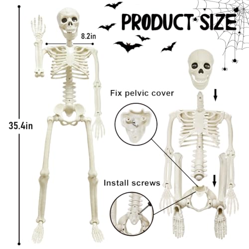 5.9FT Plastic Full Size Human Skeleton with Movable Joints S346146