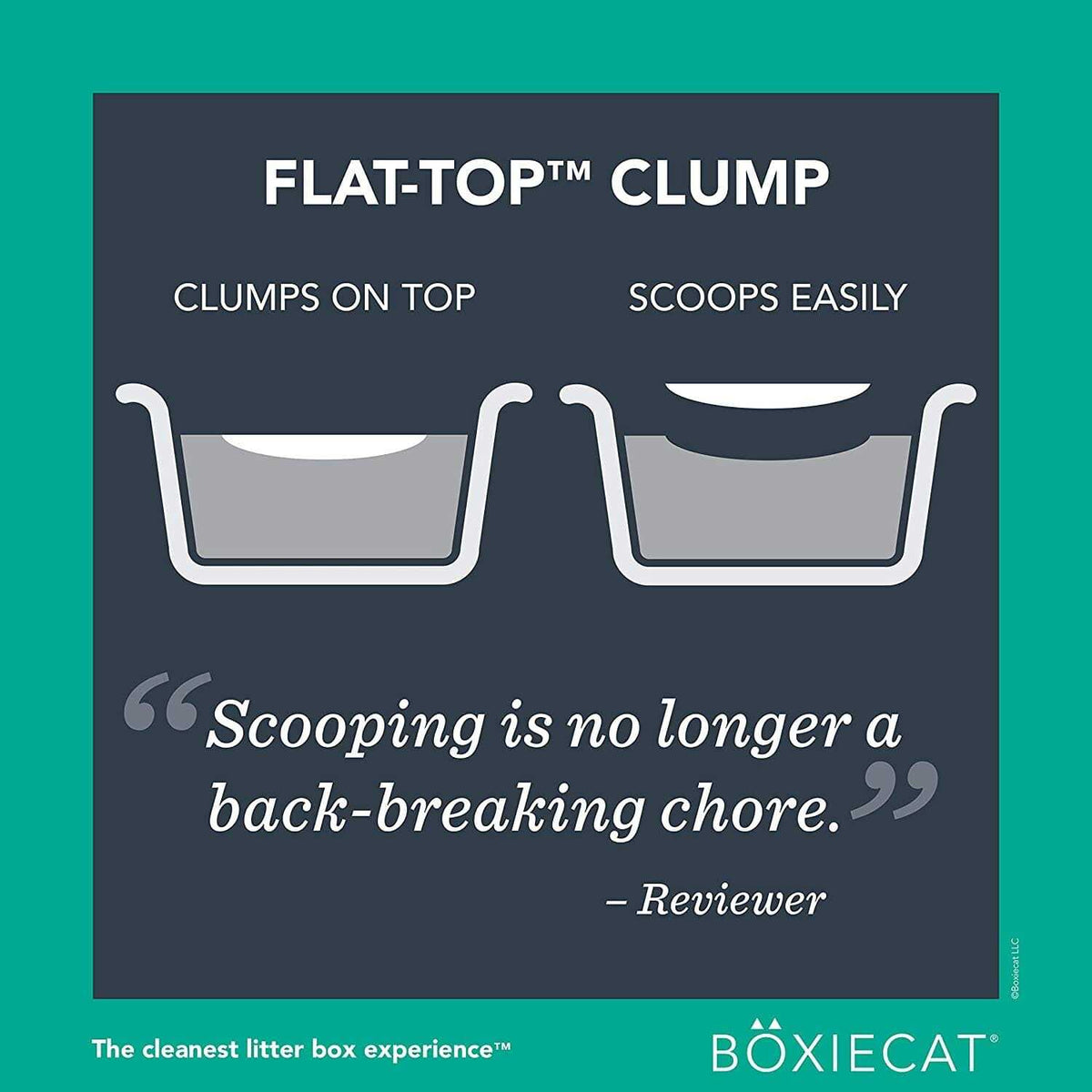 Clumping Clay Cat Litter S25840