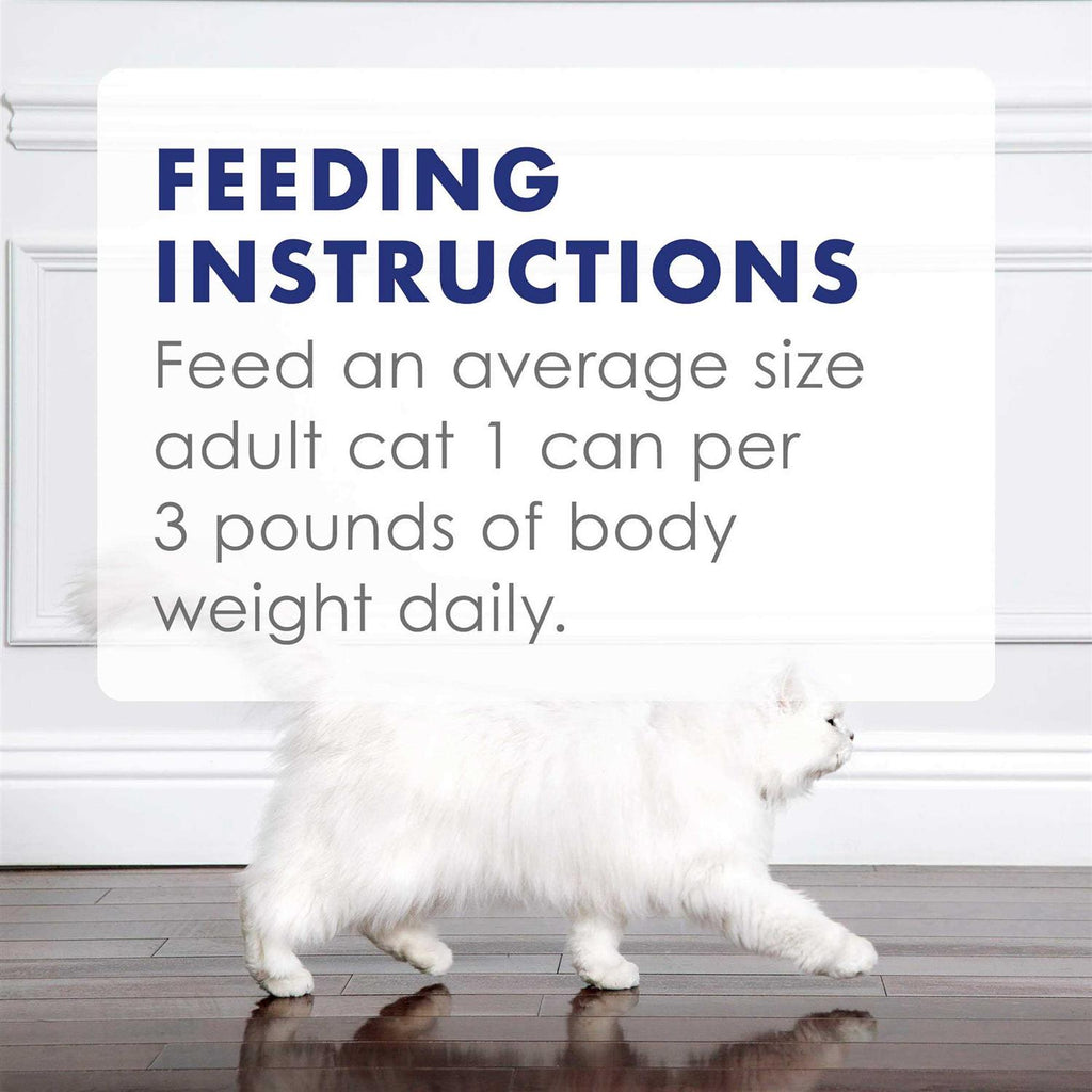 Wet Cat Food F35198