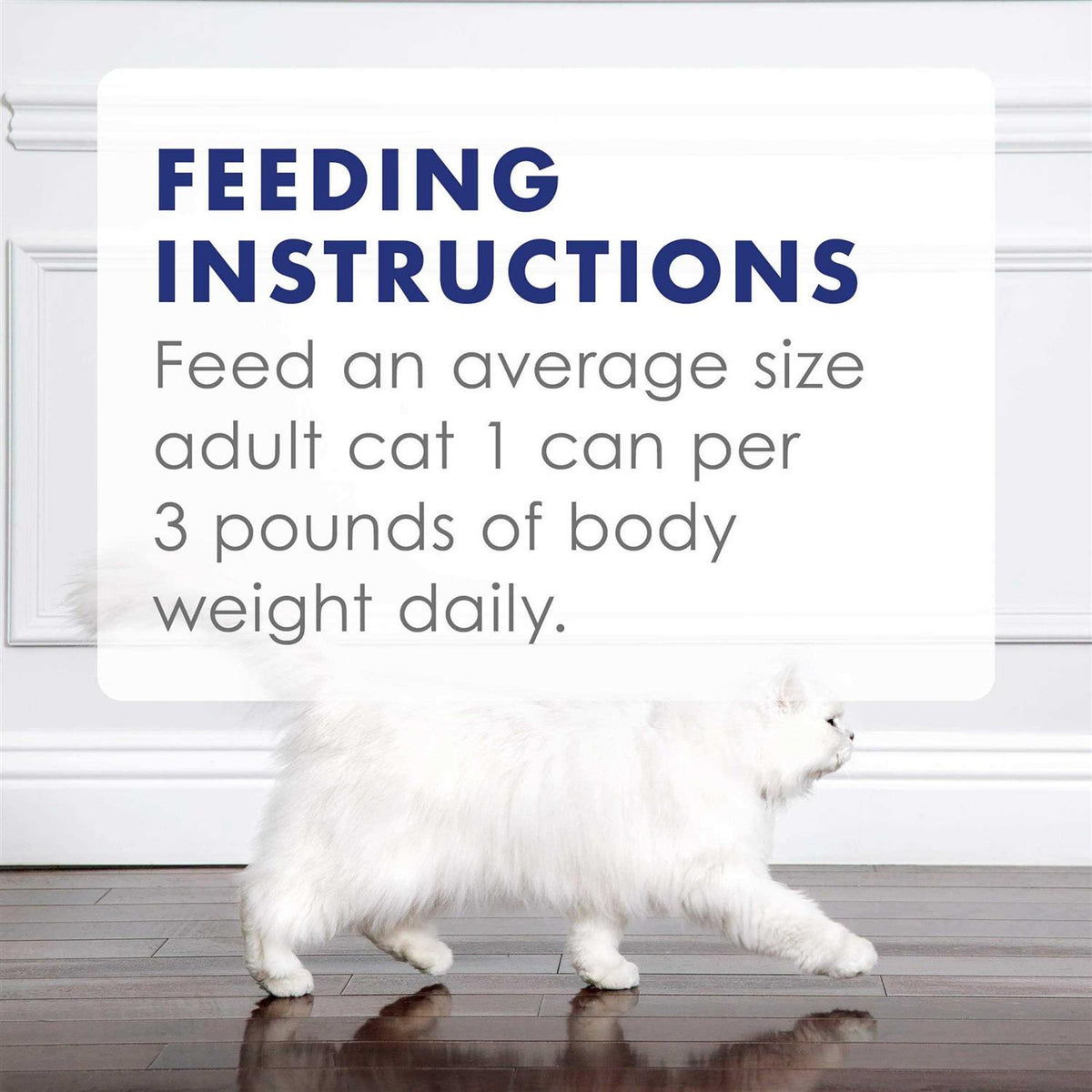 Wet Cat Food F35198