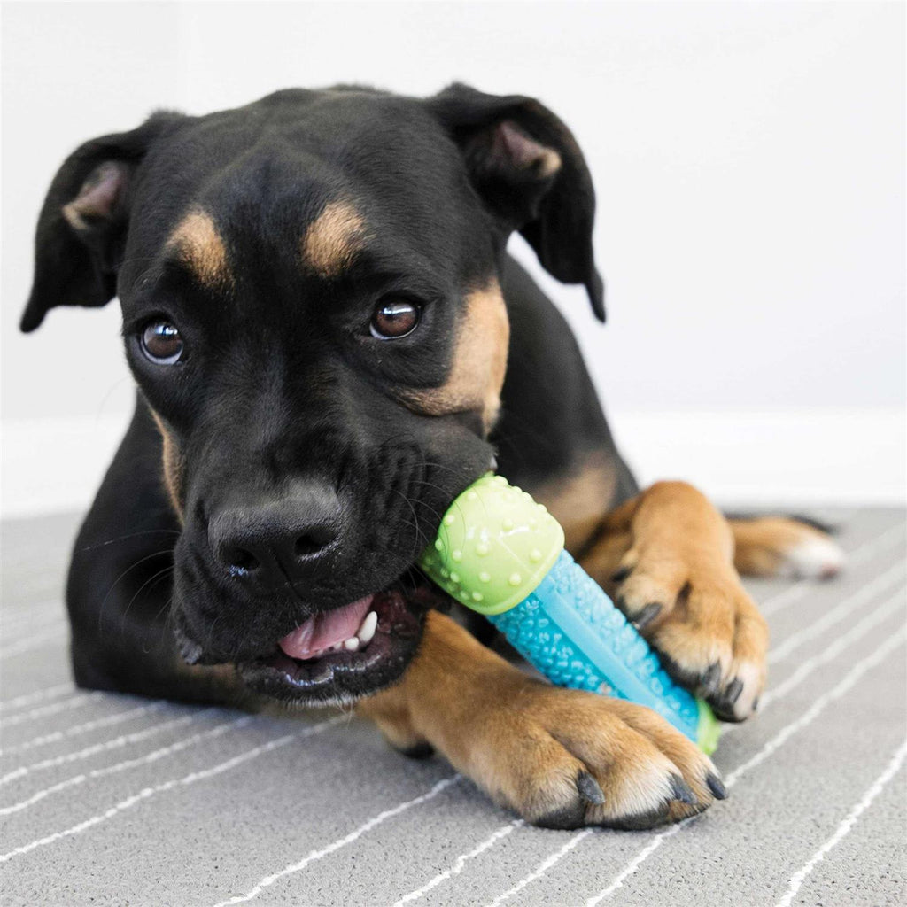 Dog Toy M208
