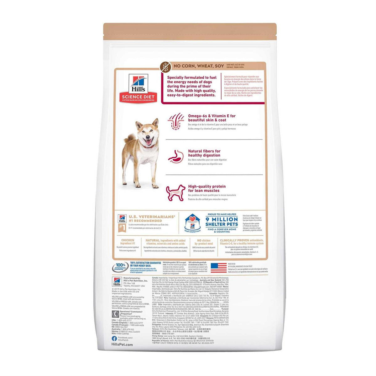 Chicken Dry Dog Food Y8597