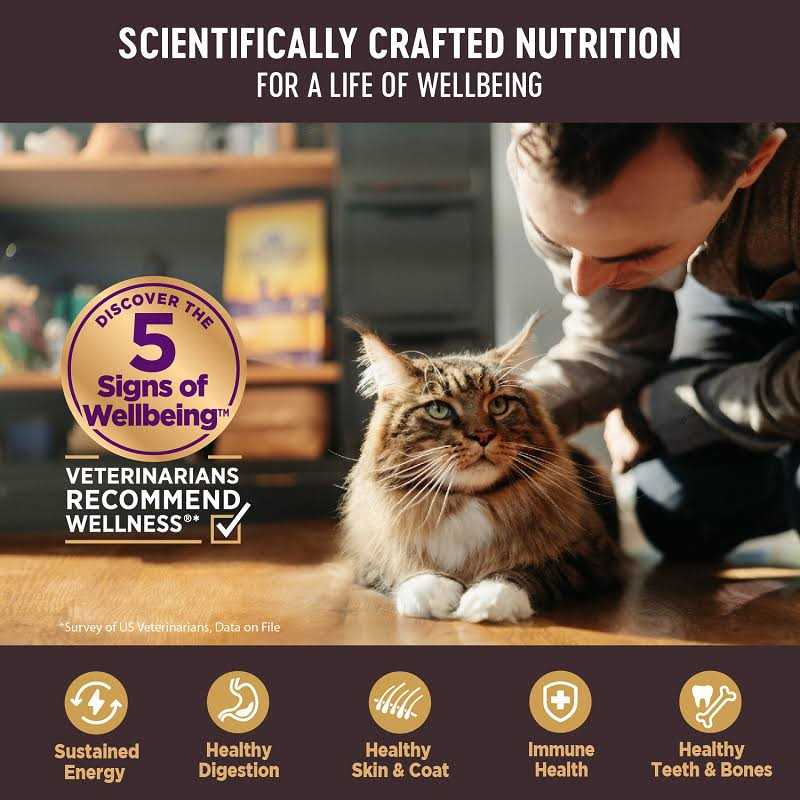 Grain Free Canned Cat Food S46999