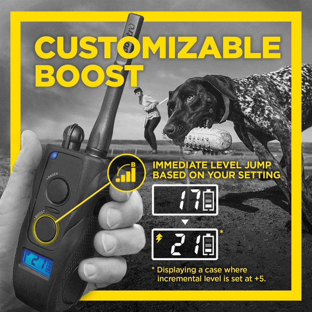 Black 1 Mile Remote Trainer K11407
