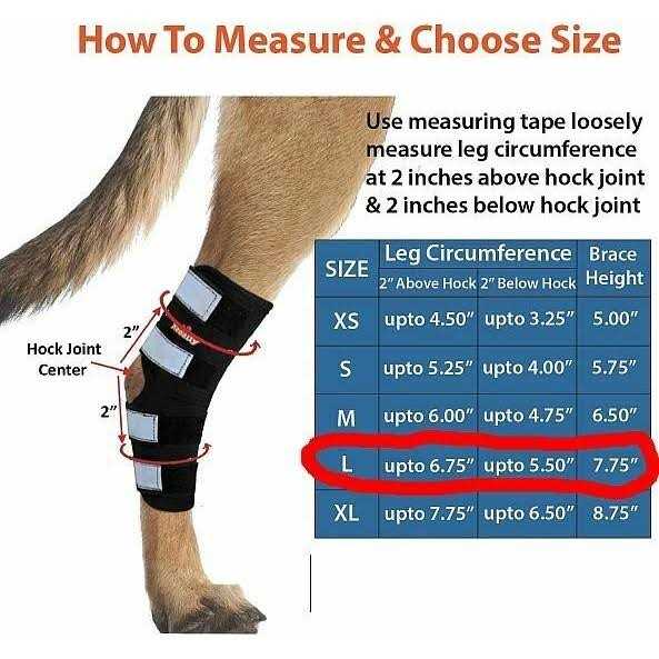 Dog Hind Leg Brace with Reflective Straps K807545