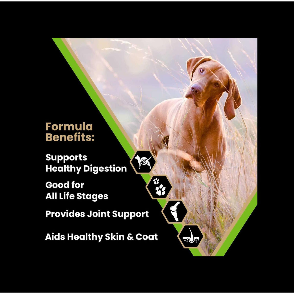 Dry Dog Food Z2214