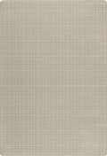 Sage Area Rug 2 1 x 7 8 Rectangle Q9879