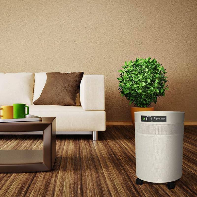 Cream Air Purifier O250