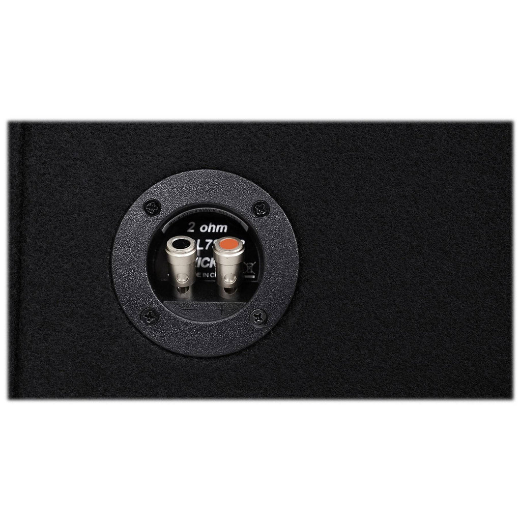12x22 2 Ohm Subwoofer D216