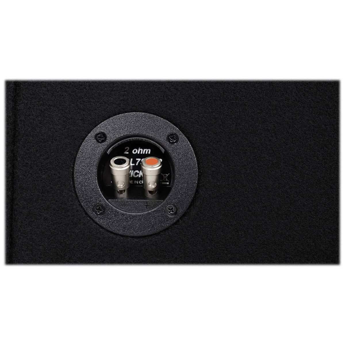12x22 2 Ohm Subwoofer D216